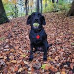 Debbie Spencer - @deborah_g_s - Instagram