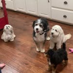 Debbie Stacks Johnson - @debbiestacksjohnson - Instagram