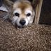 Debbie Stambaugh - Facebook