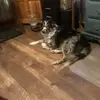 debbiestiffler6 - @debbiestiffler6 - TikTok