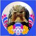 Stepler Tape - Facebook