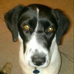 Debbie Baayen Stipe Hulme - @debbie.hulme - Instagram