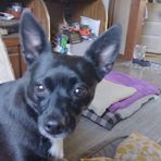 Debbie Stipes - Facebook