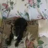 debbiestipes2 - @debbiestipes2 - TikTok