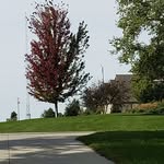 Debbie Stoneburner - @stoneburnerdebbie - Instagram