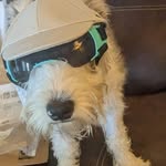Debbie Stonecipher - @stonecipherdebbie - Instagram