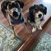 Debbie Stonecipher - Facebook