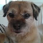 Debbie Street - @debbie.street.7927 - Instagram