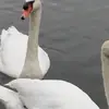 Debbie Street - @debbie.street - TikTok