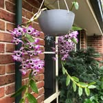 Debbie Street - @debbie.street.10 - Instagram
