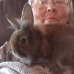 Debbie Strickland - @deblynnestrick - Instagram