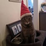 Debbie Strickland - @debbiestrickland100 - Instagram