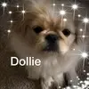 Debbie Strickland - @debbiestrickland4 - TikTok