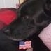 Deborah S Stromberg Farley - Facebook