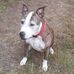 Debbie Stroud - Facebook
