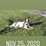Debbie Stroud - @stroud.debbie - Instagram