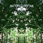 Debbie Parker - @debbie.stull.7 - Instagram