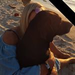 Debbie Clark Stultz - @luvs2shopmom - Instagram