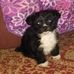 Debbie Stultz - Facebook