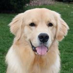 Debbie Sylvester - @my_best_bud_brody - Instagram