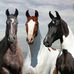 Debbie Tackett - Facebook