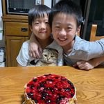 Debbie Tai - @liangyatai - Instagram
