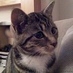 Debbie Talbot - @debbie.talbot.313 - Instagram