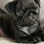 Debbie Tate - @debbietate4893 - Instagram
