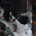Deb Terwilliger - Facebook