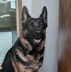 Debra Tidwell - Facebook