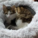 debbie…tiller - @debbie_g_tiller - Instagram