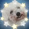 Debbie Tipton221 - @hurryuporwont - TikTok