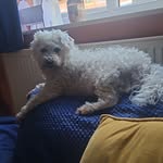 Debbie Tipton - @tiptoe18 - Instagram