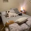 debbietipton7 - @debbietipton7 - TikTok