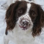 Debbie Tooley - Facebook