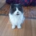 Debbie Travers - Facebook