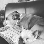 Debbie Travers - @travers.debbie - Instagram