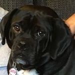 Debbie Travers - @debbietravers37 - Instagram
