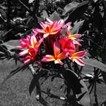Debbie Travis - @djtravis_4 - Instagram