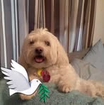 Debbie Travis - Facebook