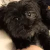 debbietroxler855 - @debbietroxler855 - TikTok