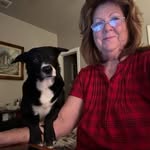 Debbie Phillips Triplett - @thethirddog - Instagram