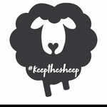 Debbie Triplett - @triplett7840 - Instagram