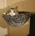Debbie Triplett - Facebook