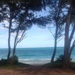Debbie Triplett - @triplett.debbie - Instagram