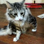 Debbie Triplett - @triplettdebbie - Instagram