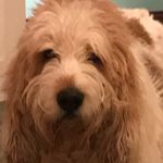 Debbie Tully - @daisy142005 - Instagram