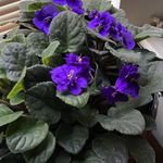 Debbie VanMeter Hall - @debbievanmeterhall - Instagram