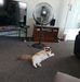 Debbie Vann - Facebook