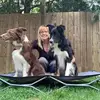 debbievassallocpc - @puredog_ag_tr - TikTok